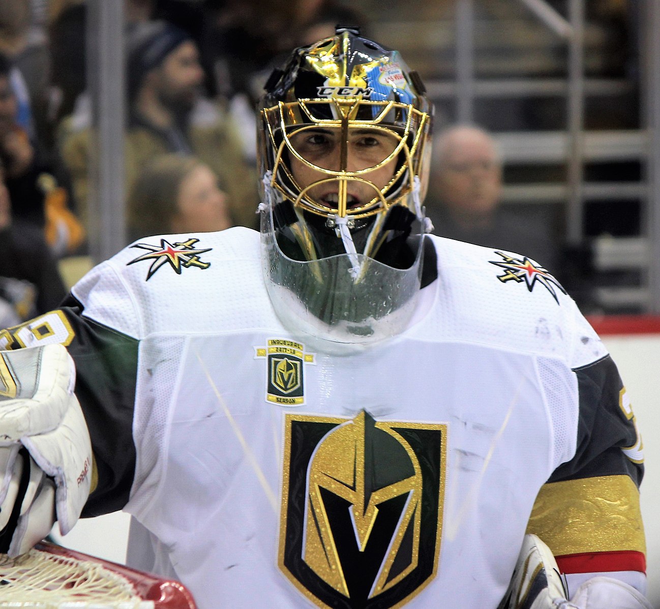 NHL Predictions on Where the Vegas Golden Knights Will Finish the 2021 Season