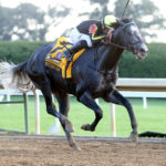 Pegasus World Cup Invitational Stakes Odds: Top 3 Contenders