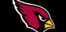 NFL Betting Review on the Arizona Cardinals for the 2020 Season