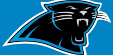 NFL Betting Review on the Carolina Panthers for the 2020 Season
