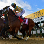 Free Horse Racing Picks For The 2022 Preakness Stakes