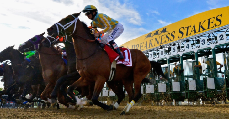 Free Horse Racing Picks For The 2022 Preakness Stakes