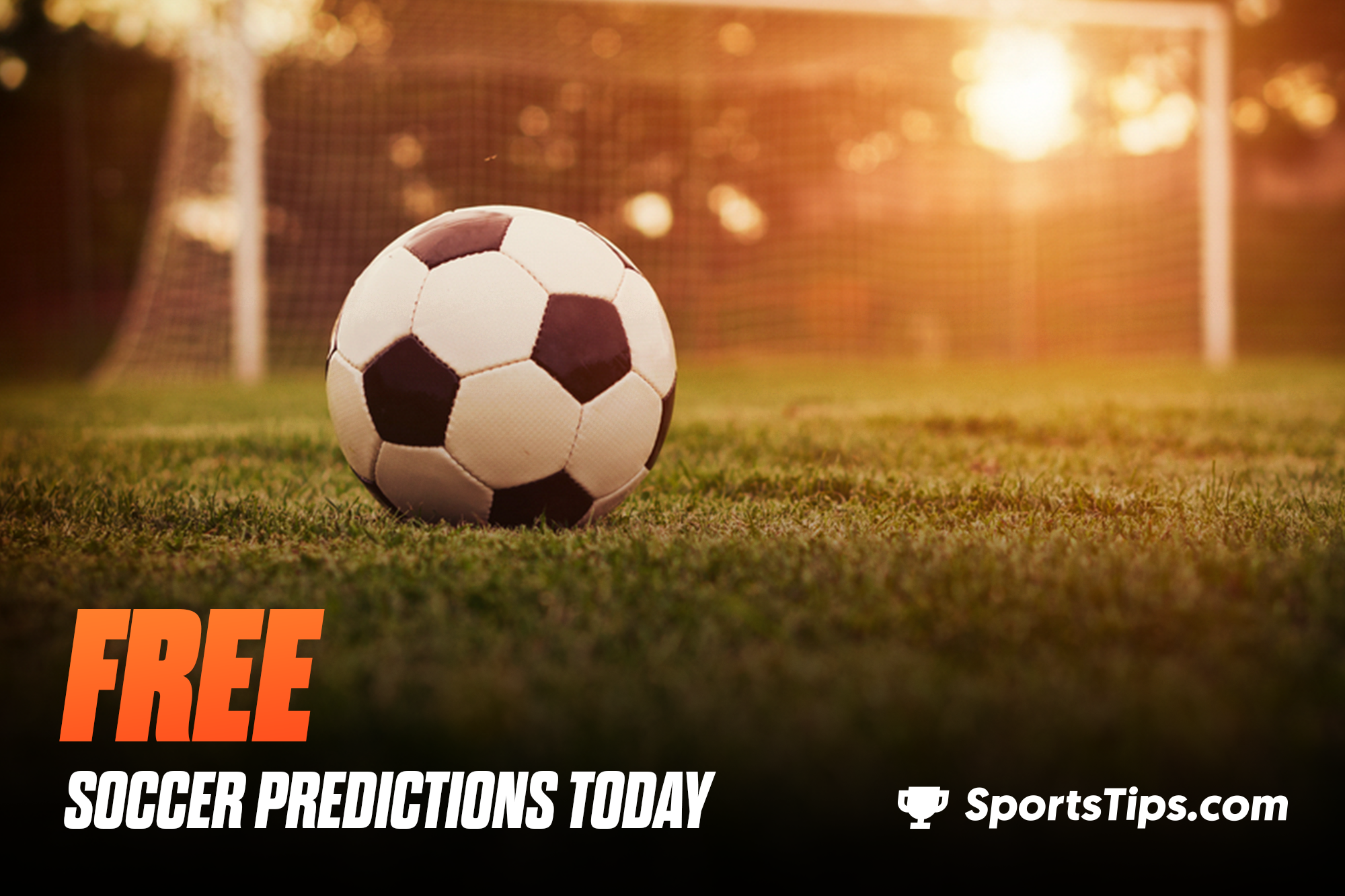 Free FIFA World Cup Picks Today for Monday, November 28th, 2022