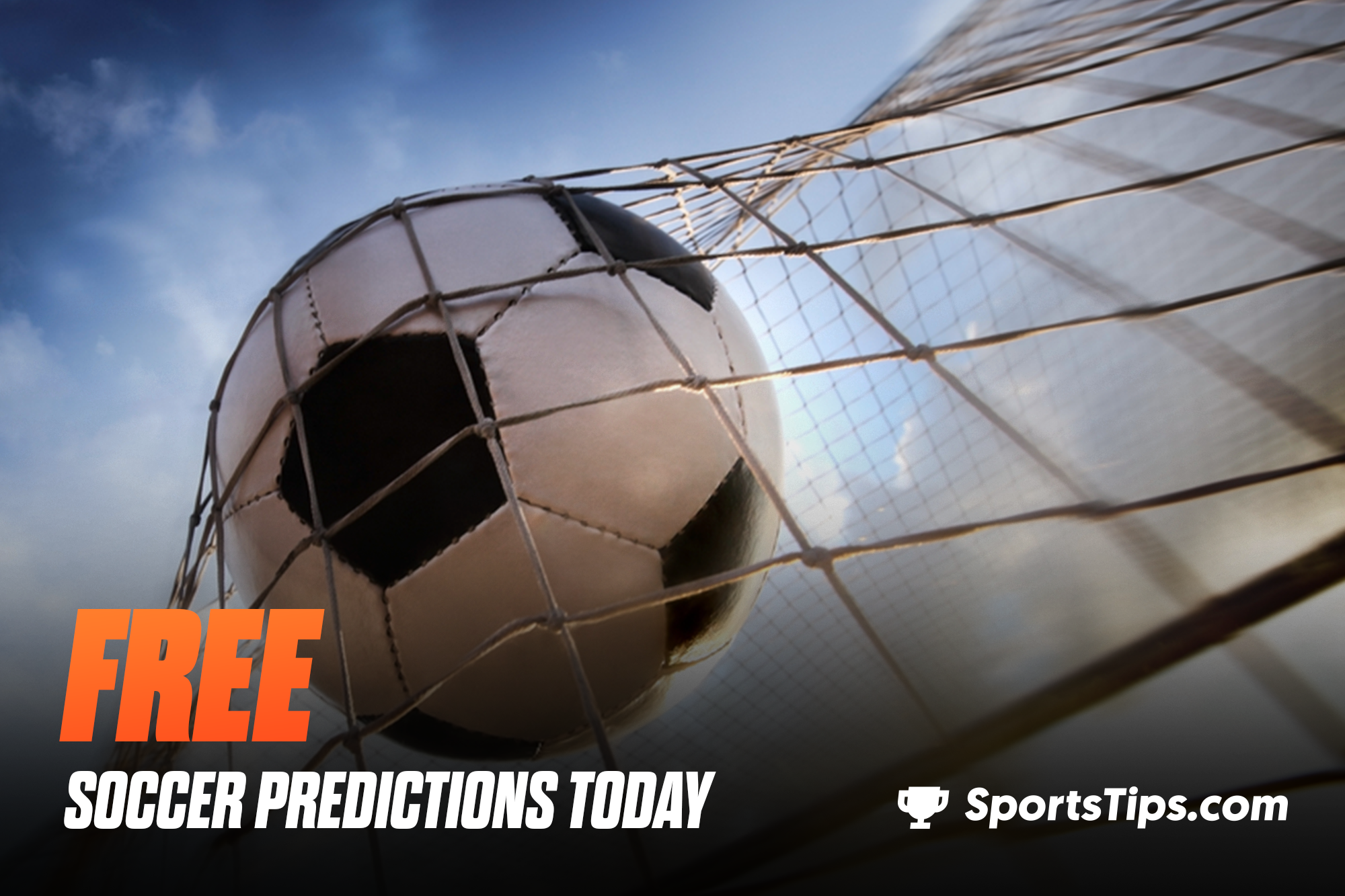 Free FIFA World Cup Picks Today for Tuesday, November 29th, 2022