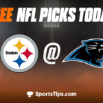 Free NFL Picks Today: Carolina Panthers vs Pittsburgh Steelers 12/18/22